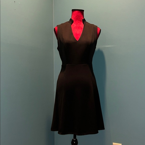 The Limited Dresses & Skirts - Classic Black Sleeveless V-Neck Dress Size Medium